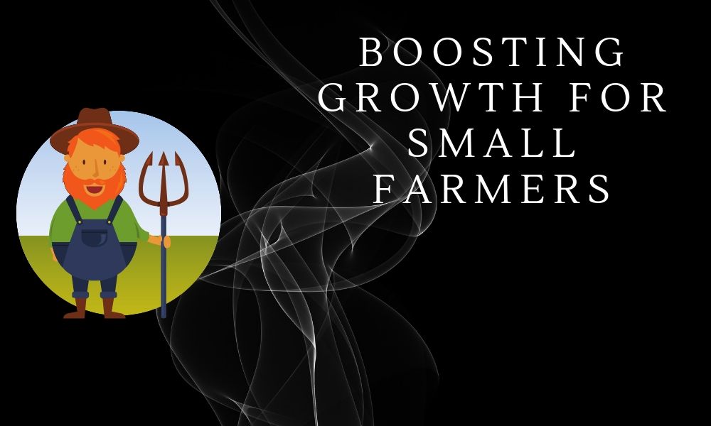 Blockchain Use Case: Boosting Growth for Small Farmers