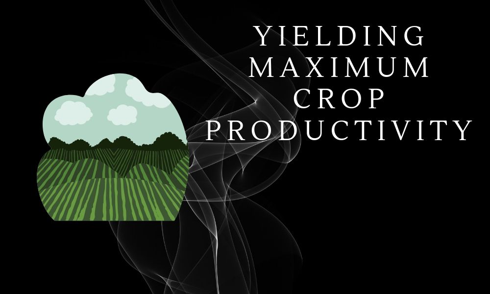 Blockchain use Case: Yielding Maximum Crop Productivity