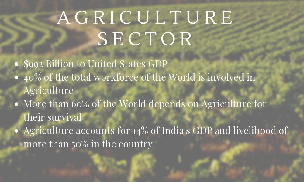 Agriculture Sector Statistics